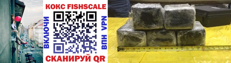 Cocaine FishScale  магазин продажи   Чкаловск 