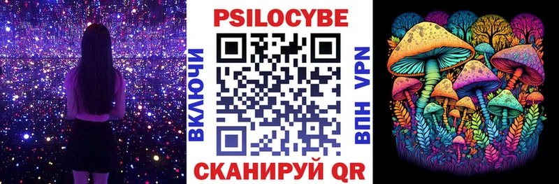 Галлюциногенные грибы Magic Shrooms  Чкаловск 